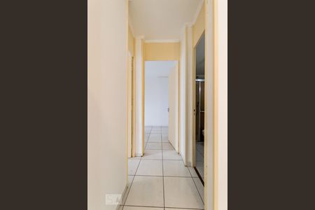 Corredor de apartamento para alugar com 2 quartos, 52m² em Jardim Bom Sucesso, Campinas