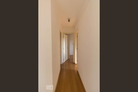 Corredor de acesso aos quartos de apartamento para alugar com 2 quartos, 56m² em Vila Galvão, Guarulhos