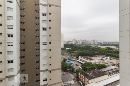 Vista de apartamento para alugar com 1 quarto, 45m² em Parque Industrial Tomas Edson, São Paulo