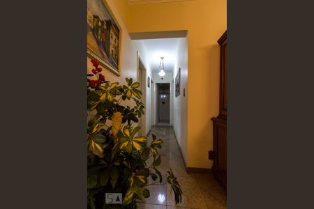 Corredor de Acesso aos Quartos e Banheiro  de apartamento à venda com 3 quartos, 80m² em Vila Gomes Cardim, São Paulo