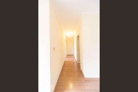 Corredor de apartamento à venda com 3 quartos, 100m² em Vila Lídia, Campinas