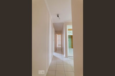 Corredor de apartamento para alugar com 3 quartos, 98m² em Parque Prado, Campinas