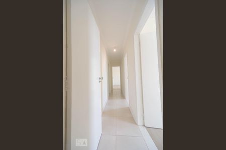 Corredor de apartamento à venda com 3 quartos, 110m² em Bosque, Campinas