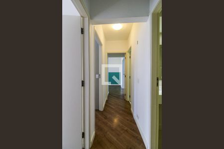 Corredor de apartamento para alugar com 3 quartos, 110m² em Vila Clementino, São Paulo