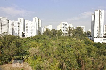 Vista da varanda de apartamento à venda com 2 quartos, 66m² em Vila Andrade, São Paulo