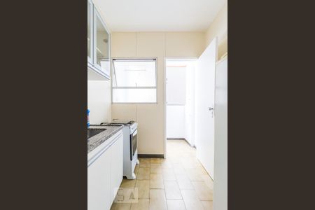 Cozinha de apartamento para alugar com 1 quarto, 45m² em Lourdes, Belo Horizonte