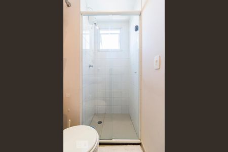 Banheiro de apartamento para alugar com 2 quartos, 49m² em Vila Anastácio, São Paulo