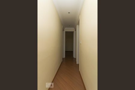 Corredor de apartamento para alugar com 3 quartos, 72m² em Vila Moinho Velho, São Paulo