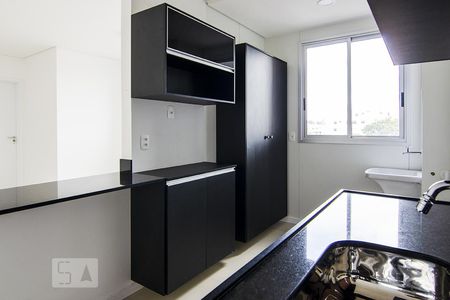 Cozinha de apartamento para alugar com 2 quartos, 69m² em Sagrada Família, Belo Horizonte