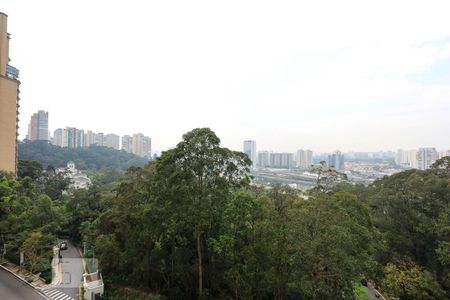 Vista de apartamento à venda com 1 quarto, 82m² em Paraíso do Morumbi, São Paulo