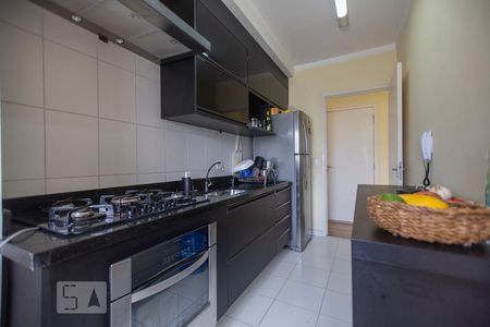 Cozinha  de apartamento para alugar com 3 quartos, 72m² em Jardim Bonfiglioli, Jundiaí