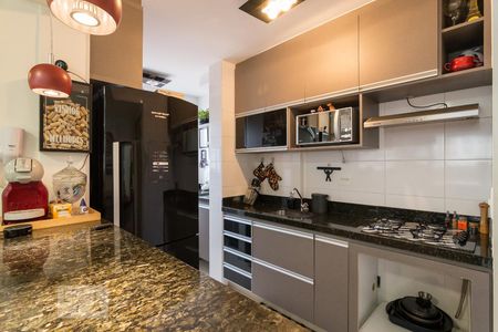 Cozinha de apartamento para alugar com 2 quartos, 60m² em Ouro Preto, Belo Horizonte