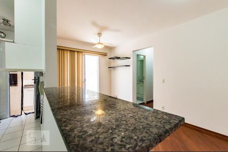 Sala de apartamento para alugar com 2 quartos, 80m² em Mansões Santo Antônio, Campinas