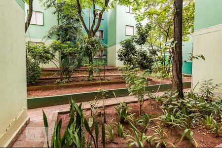Vista de apartamento à venda com 3 quartos, 80m² em Vila Manoel Ferreira, Campinas