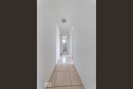 Corredor de apartamento para alugar com 3 quartos, 140m² em Vila Nova, Campinas