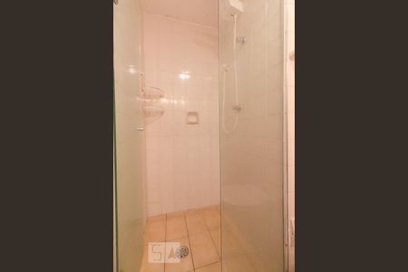 Banheiro de apartamento para alugar com 2 quartos, 54m² em Vila Guarani (z Sul), São Paulo