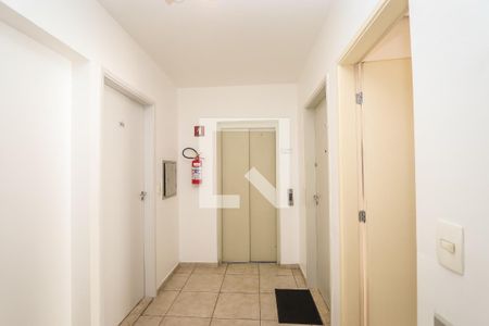 Hall social de apartamento para alugar com 2 quartos, 52m² em Vila Suzana, São Paulo