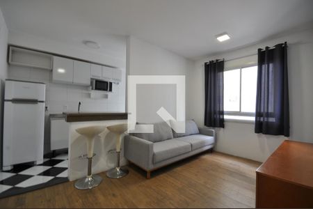 Sala de apartamento para alugar com 2 quartos, 46m² em Jardim Leonor Mendes de Barros, São Paulo