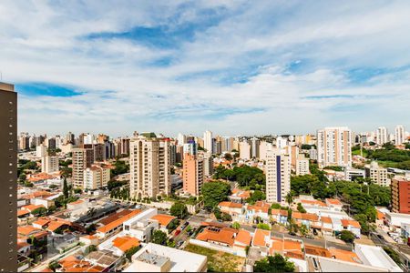 Vista de apartamento para alugar com 2 quartos, 110m² em Cambuí, Campinas