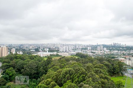 VISTA SALA de apartamento à venda com 2 quartos, 50m² em Jardim Íris, São Paulo