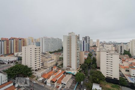 Apartamento para alugar com 300m², 4 quartos e 4 vagas Apartamento para alugar com 300m², 4 quartos e 4 vagasVista Cobertura/Piscina