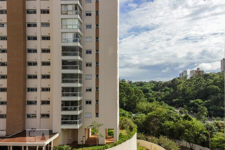 Vista Varanda de apartamento para alugar com 2 quartos, 57m² em Vila Andrade, São Paulo