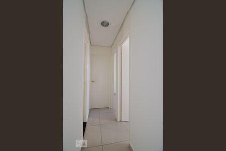 Corredor de apartamento para alugar com 2 quartos, 57m² em Jardim Dom Vieira, Campinas