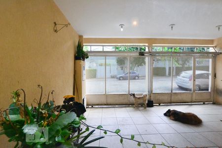 Vista 1 Sala 2 de casa à venda com 3 quartos, 120m² em Indianópolis, São Paulo