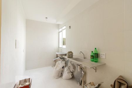 Cozinha de apartamento para alugar com 2 quartos, 42m² em Santa Amélia, Belo Horizonte