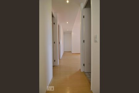 Corredor de apartamento para alugar com 3 quartos, 95m² em Jardim Ampliação, São Paulo