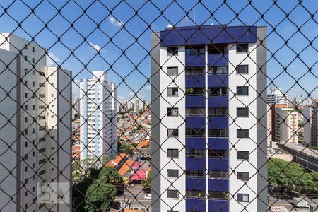 Vista de apartamento para alugar com 3 quartos, 93m² em Vila Ipojuca, São Paulo