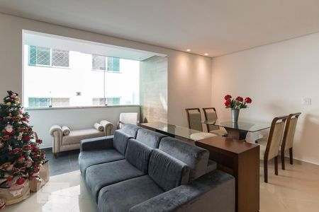 Sala de apartamento à venda com 3 quartos, 97m² em Castelo, Belo Horizonte