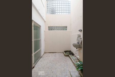 Quintal - Lavanderia de casa para alugar com 3 quartos, 180m² em Vila Medeiros, São Paulo