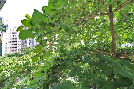 Apartamento à venda com 136m², 3 quartos e 1 vaga Apartamento à venda com 136m², 3 quartos e 1 vagaVista Quarto 2.