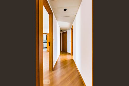 Corredor de apartamento à venda com 3 quartos, 98m² em Jardim Proença, Campinas