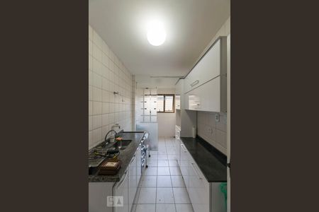 Cozinha de apartamento para alugar com 1 quarto, 50m² em Cambuci, São Paulo