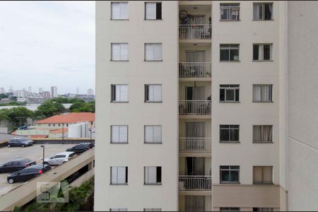 Vista Sacada de apartamento para alugar com 2 quartos, 51m² em Vila Guilherme, São Paulo