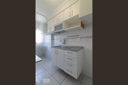 Cozinha de apartamento para alugar com 2 quartos, 50m² em Vila Firmiano Pinto, São Paulo