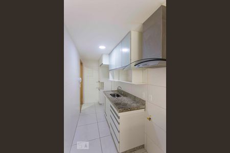 cozinha de apartamento para alugar com 2 quartos, 70m² em Santa Rosa, Niterói