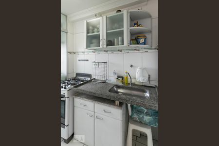 Cozinha (Armários) de apartamento à venda com 2 quartos, 47m² em Vila Moraes, São Paulo