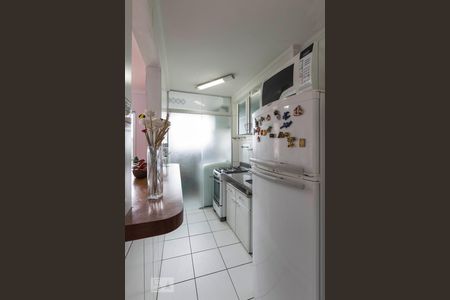 Cozinha de apartamento à venda com 2 quartos, 47m² em Vila Moraes, São Paulo