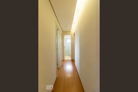 Corredor de apartamento para alugar com 3 quartos, 70m² em Santa Branca, Belo Horizonte