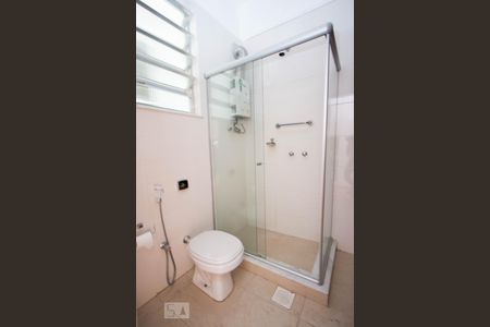 Banheiro da suíte de apartamento à venda com 3 quartos, 100m² em Laranjeiras, Rio de Janeiro