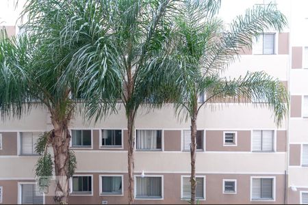 Sala - Vista de apartamento à venda com 2 quartos, 46m² em Vila Campos Sales, Campinas