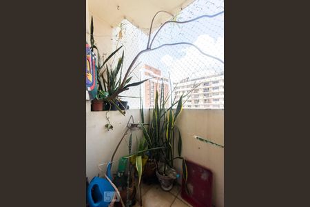 Apartamento à venda com 2 quartos, 58m² em Vila Uberabinha, São Paulo
