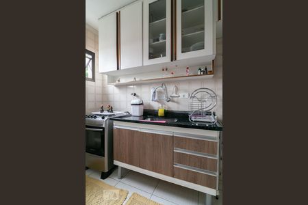 Cozinha de apartamento para alugar com 2 quartos, 73m² em Vila das Mercês, São Paulo
