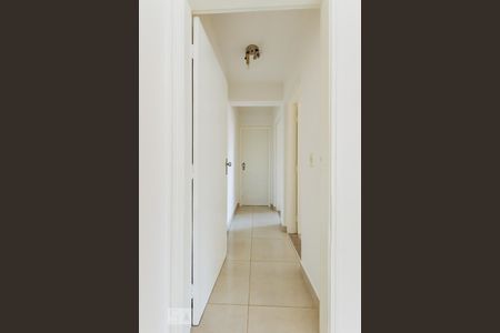 Corredor de apartamento para alugar com 2 quartos, 72m² em Centro, Campinas