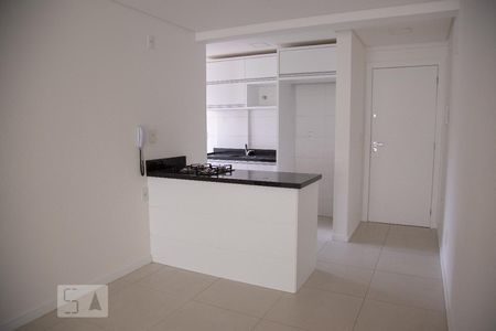 bancada da cozinha de apartamento para alugar com 2 quartos, 70m² em Itacorubi, Florianópolis