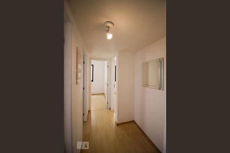 Corredor de apartamento para alugar com 3 quartos, 120m² em Perdizes, São Paulo