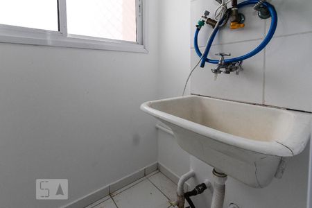 Área de Serviço de apartamento para alugar com 2 quartos, 45m² em Quinta da Paineira, São Paulo